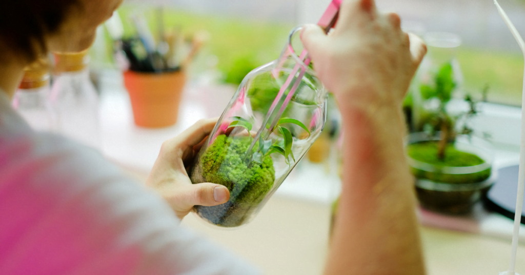 Preparing Cushion Moss