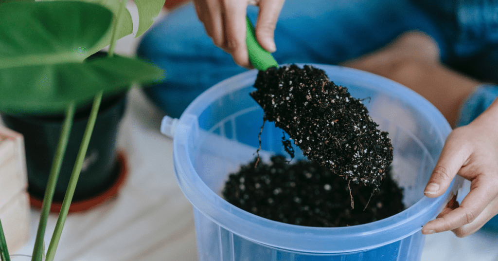 In this blog, we are going to have a detailed discussion on How to Make Compost in Balcony with Kitchen and Garden Waste