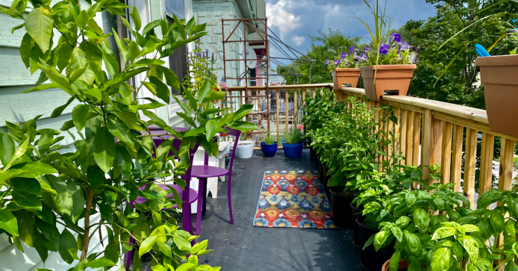 How to Make Compost in Balcony