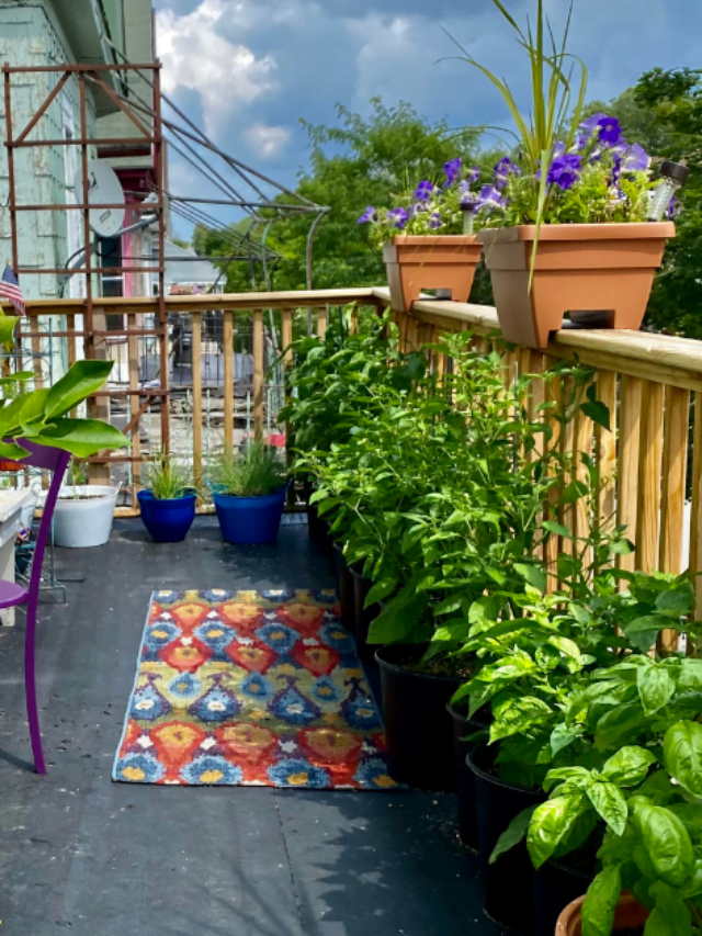 How to Make Compost in Balcony