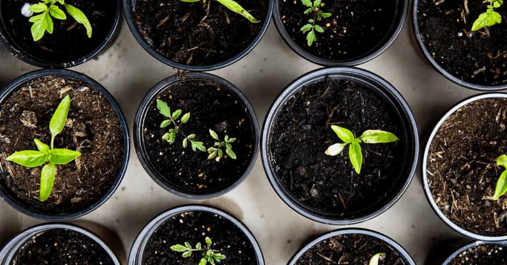 Balcony composting