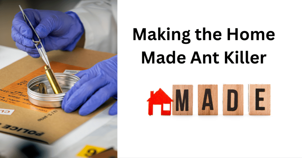 Making the Home made Ant Killer