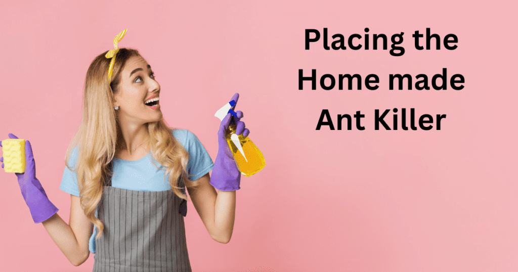 Placing the Home made Ant Killer