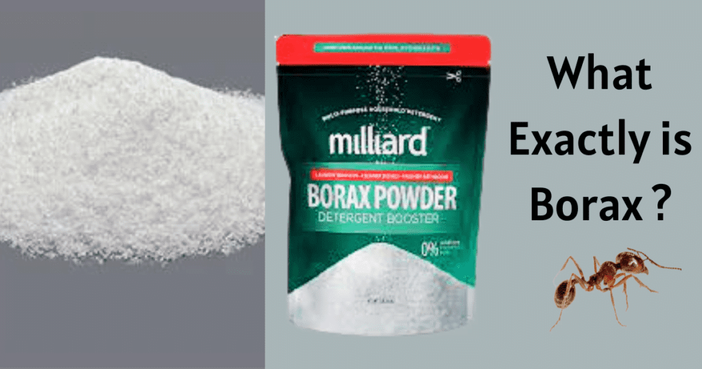 what exactly is borax