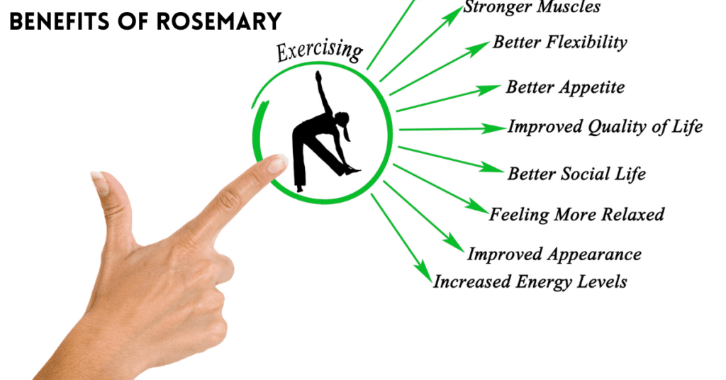 Benefits of Rosemary