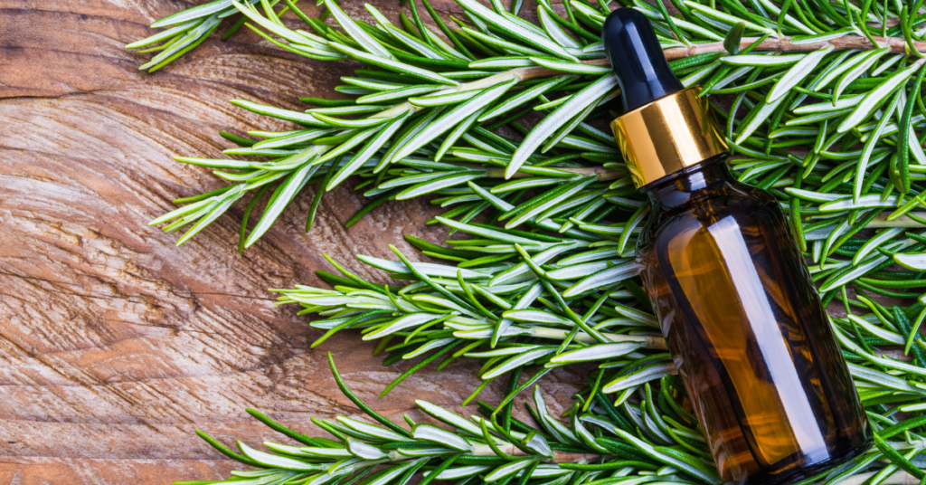 Rosemary Oil Preparation