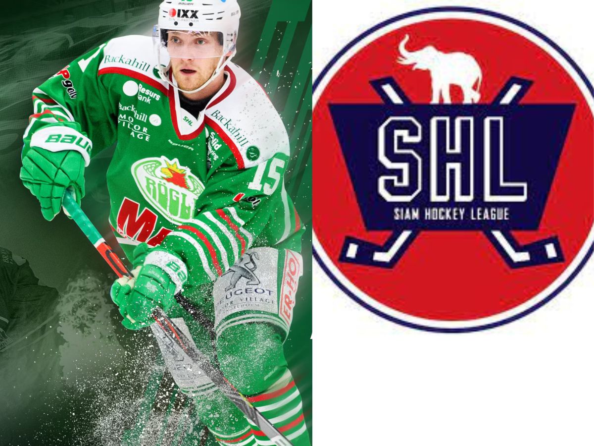 The SHL and Rogle BK A Swedish Ice Hockey Powerhouse