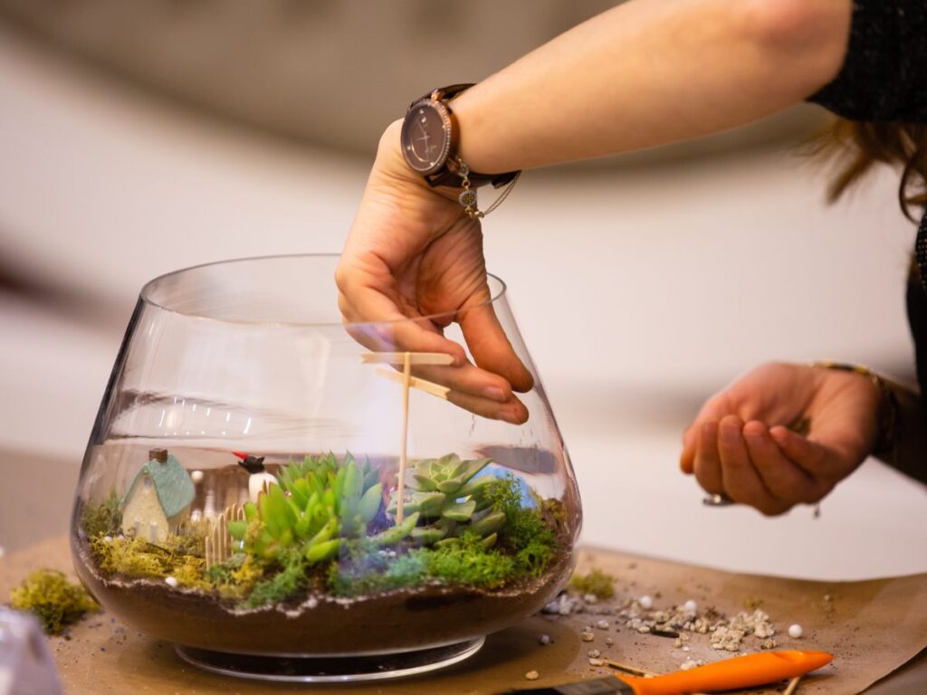 How to Build a Terrarium Ecosystem