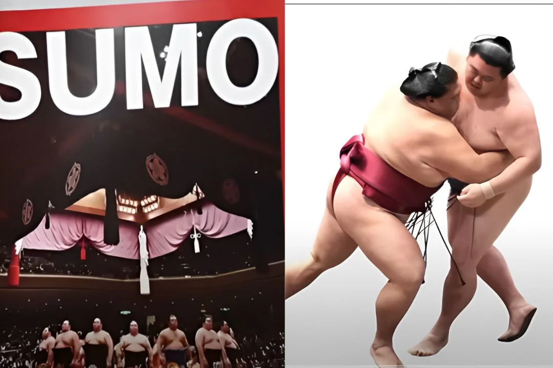 Sumo Wrestling Japan's Traditional National Sport