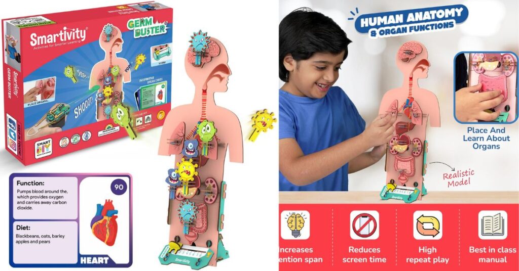 Smartivity Human Body Toy