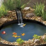 Leak-Proof Indoor Pond