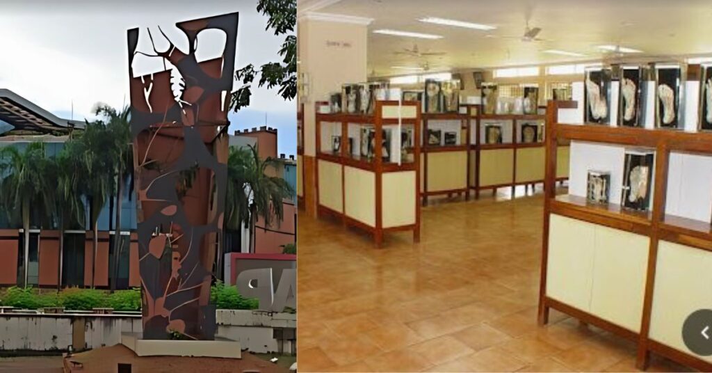 Manipal Museum of Anatomy and Pathology